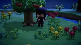 Tarantula island be like