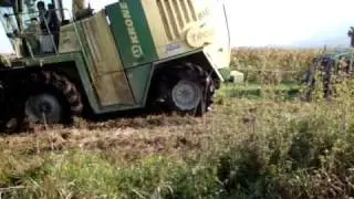 Agrar Gruber Maissilage 2009 in K&auml;rnten