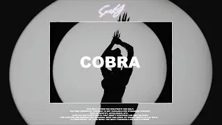 (FREE) Megan Thee Stallion Cobra Type Beat 2023 