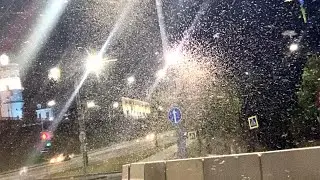 Woman Surrounded By Swam Of Mayflies