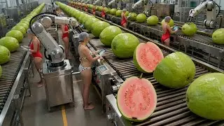 Inside a Modern Guava Processing Facility | From Whole Guavas to Guava Puree (Full Process)