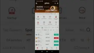 kin deposit peerbet to gate.io