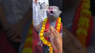Ganesh ji laddu de rahe hai😍 | Viral Bappa Raipur