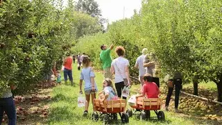 &lsquo;Agritourism&rsquo; booms in NY, north country