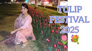 VLOG - TULIP FESTIVAL DELHI 2025 💐🌷