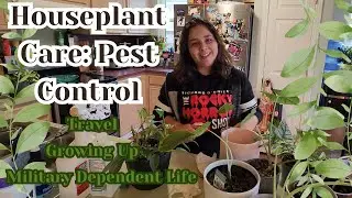 Houseplant Pest Control! Growing up, experience as a military dependent, travel, being vegetarian
