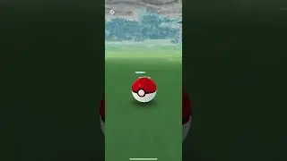 Shiny Luck of the day