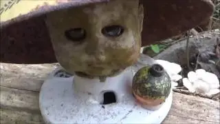 Creepy Forest Full of Doll Heads - Doll's Head Trail