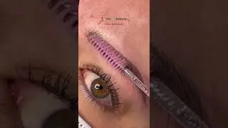 PhiBrows Microblading