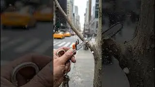 Keychain STIHL  vs NYC Plane Tree Branch (Ultra Realistic)