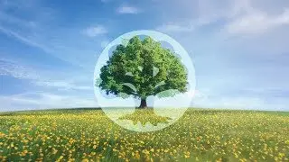 Green Mana - PAUPERGANDA!!