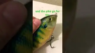 Nice pike hook