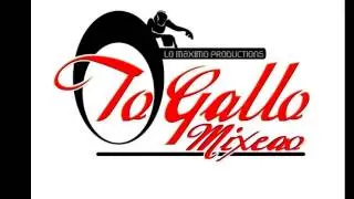 Salsa Bakana 1   To Gallo Mixeao Records LMP