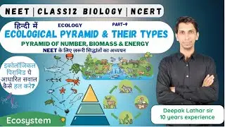 Ecological Pyramids | Pyramid of Biomass, Number & Energy | Limitations of Ecological Pyramid |
