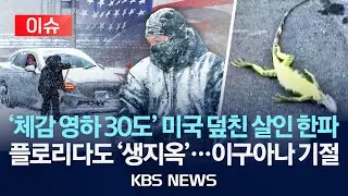 [이슈] '체감 영하 30도' 미국 덮친 살인 한파/아열대 플로리다도 '생지옥'...이구아나 기절 속출/2026년 2월 2일(월)/KBS