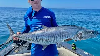 Sandy cape shoal heavy gear with dirty tackle stick baits 