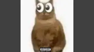 nut freestyle