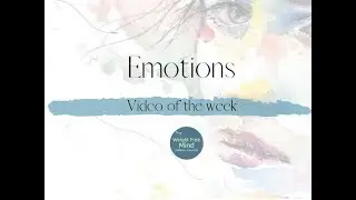 Emotions &ndash; How they drive our behavior and our life!