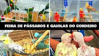 Feira de Pássaros e Gaiolas do Cordeiro  28/12 #gaiola #passaros #criarpassaros