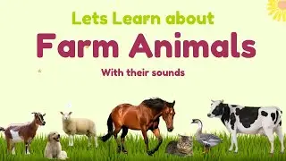 Farm animals and Sounds for Kids to Learn | Learning Farm Animal Names and Sounds for Children