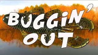 Bass Fishing with Googan Baits Bandito Bug
