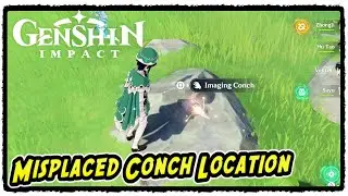 Misplaced Conch Location in Genshin Impact