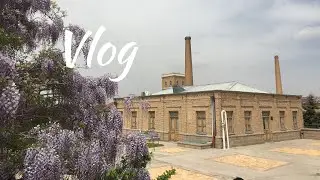 University of art Tabriz, iran, visiting art gallery