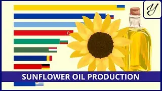 The largest SUNFLOWER OIL producers in the world