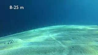 Eel Garden Dahab Egypt 2019! Сад угрей Дахаб Египет 2019! Красное море