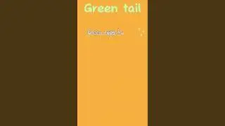 Green naps happy dog #Shorts #GreenTail ￼
