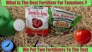 Tomato Fertilizer Challenge