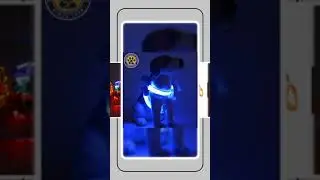 L.E.D. Glow Dog Harness