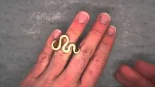 Angela Hubel - Gold & Diamond Serpentine Ring - ORRO Contemporary Jewellery Glasgow