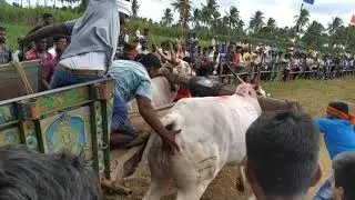 Kadamba ramadhuta
