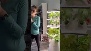 Lettuce grow sale 15% off site wide using my code: ERINOBRIEN #growmax #lettucegrow #indoorgrown