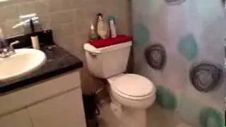 Clearwater rental $900 per month (Clearwater Property Management)