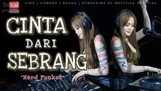 FUNKOT -CINTA DARI SEBRANG VIRAL TIK TOK 2025 BY DJ MEYLIA