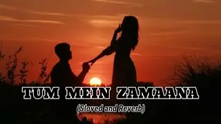 Tum Mein Zamana | (Slowed+Reverb ) | #lofi #slowedreverb (Ajay Paul , Ronnik and  Armaan Paul)