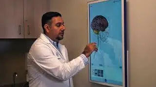 Access to Expertise