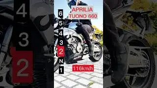 Aprilia Tuono 660 all gear top speed #automobile #aprilia #bike #bikelover #biker #motorcycle