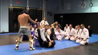 Best Harlem Shake Tampa BJJ