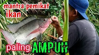 jampi jampi pemikat ikan terbukti ampuh dari suku bugis