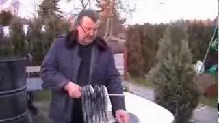 Heringszeit auf Rügen