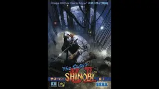 Shinobi III -  Return of the Ninja Master/ The Super Shinobi II