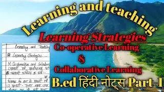 Learning and teaching Learning Strategy Co-operative & Collaborative Learning Part-1 Bed Hindi Notes