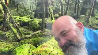 Singapūra, Jaunzēlande, Fidži 2