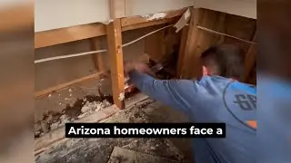 10 Appliance Leaks That Lead to Major Water Damage