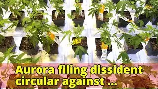 Aurora filing dissident circular against CanniMed&rsquo;s acquisition of Newstrike