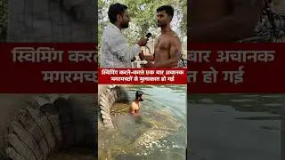 स्विमिंग करते-करते एक बार अचानक मगरमच्छों से मुलाकात हो गई #bharat #river #viral #Bihar #crocodile