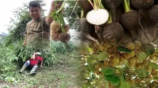 Bhanu Jayanti Yasto Bityo Hamro||Rimbick Rural Village||Retirement Life||Naniko Result Ramro Bhayo||